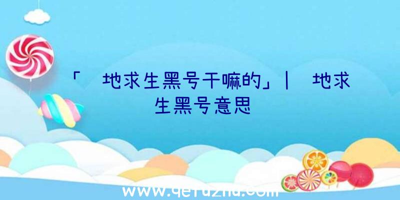 「绝地求生黑号干嘛的」|绝地求生黑号意思